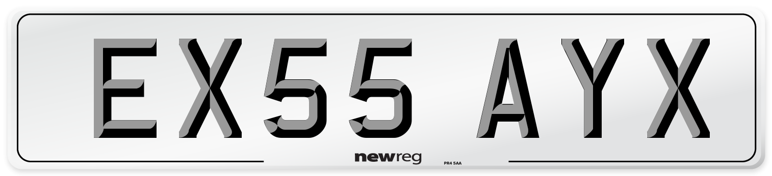 EX55 AYX Number Plate from New Reg